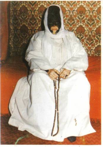 serigne bi